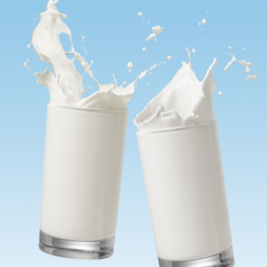 Fresh Cow Milk